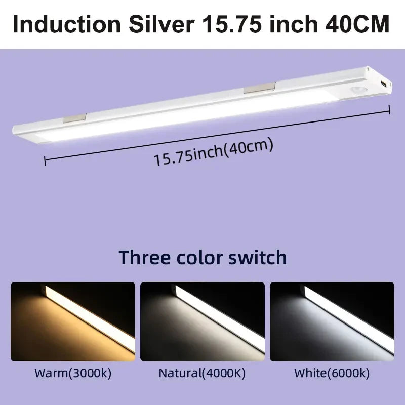 Backyardaze Ledlight